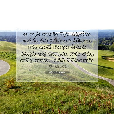 Picture 07 - ఎస్తేరు 6:1 TELIRV - ఆ రాత్రి రాజుకు - Bible Verse Picture