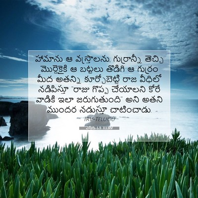 Picture 07 - ఎస్తేరు 6:11 TELIRV - హామాను ఆ - Bible Verse Picture