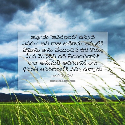Picture 07 - ఎస్తేరు 6:4 TELIRV - అప్పుడు “ఆవరణంలో - Bible Verse Picture