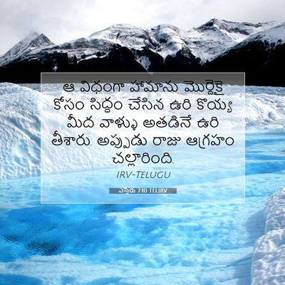 Picture 07 - ఎస్తేరు 7:10 TELIRV - ఆ విధంగా హామాను - Bible Verse Picture