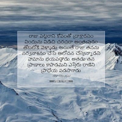 Picture 07 - ఎస్తేరు 7:7 TELIRV - రాజు పట్టరాని - Bible Verse Picture