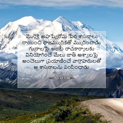 Picture 07 - ఎస్తేరు 8:10 TELIRV - మొర్దెకై - Bible Verse Picture