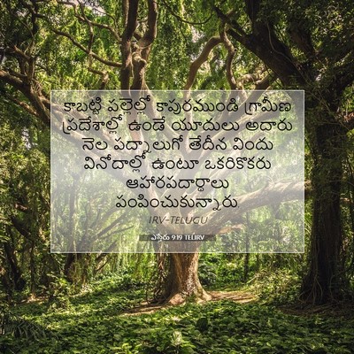 Picture 07 - ఎస్తేరు 9:19 TELIRV - కాబట్టి పల్లెల్లో - Bible Verse Picture