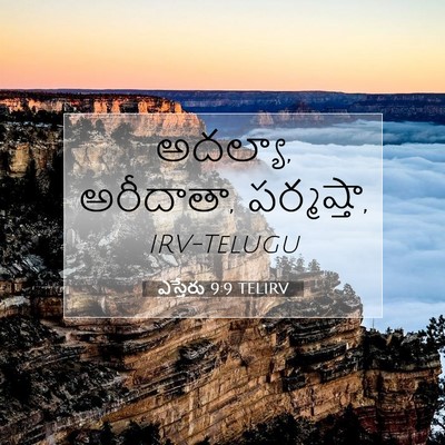 Picture 07 - ఎస్తేరు 9:9 TELIRV - అదల్యా, అరీదాతా, - Bible Verse Picture