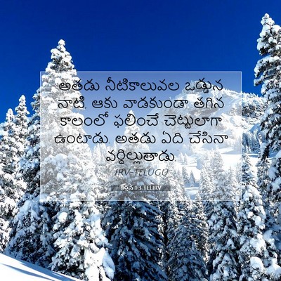 Picture 07 - కీర్తన 1:3 TELIRV - అతడు నీటికాలువల - Bible Verse Picture