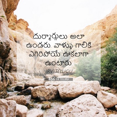 Picture 07 - కీర్తన 1:4 TELIRV - దుర్మార్గులు అలా - Bible Verse Picture