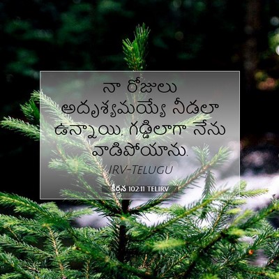 Picture 07 - కీర్తన 102:11 TELIRV - నా రోజులు - Bible Verse Picture