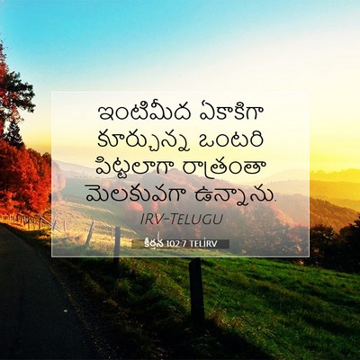 Picture 07 - కీర్తన 102:7 TELIRV - ఇంటిమీద ఏకాకిగా - Bible Verse Picture