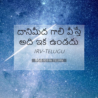Picture 07 - కీర్తన 103:16 TELIRV - దానిమీద గాలి - Bible Verse Picture