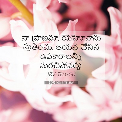 Picture 07 - కీర్తన 103:2 TELIRV - నా ప్రాణమా, - Bible Verse Picture