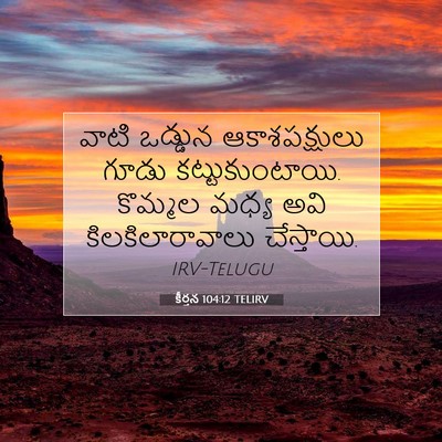 Picture 07 - కీర్తన 104:12 TELIRV - వాటి ఒడ్డున - Bible Verse Picture