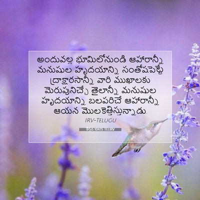 Picture 07 - కీర్తన 104:15 TELIRV - అందువల్ల - Bible Verse Picture