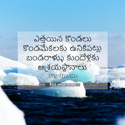 Picture 07 - కీర్తన 104:18 TELIRV - ఎత్తయిన కొండలు - Bible Verse Picture
