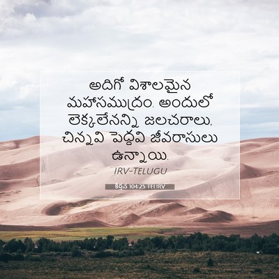 Picture 07 - కీర్తన 104:25 TELIRV - అదిగో విశాలమైన - Bible Verse Picture