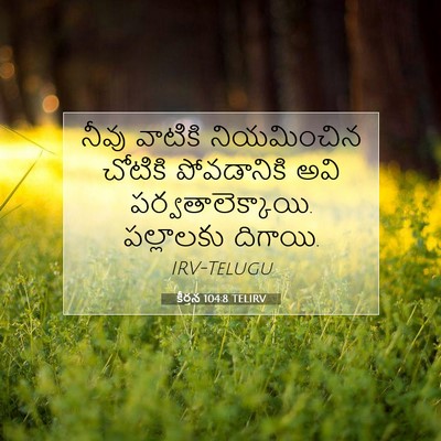 Picture 07 - కీర్తన 104:8 TELIRV - నీవు వాటికి - Bible Verse Picture