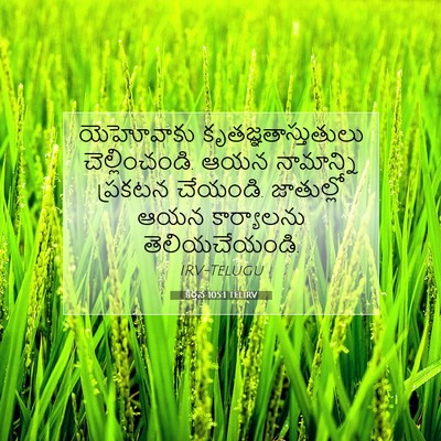 Picture 07 - కీర్తన 105:1 TELIRV - యెహోవాకు - Bible Verse Picture