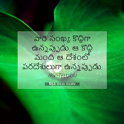 Picture 07 - కీర్తన 105:10 TELIRV - వారి సంఖ్య - Bible Verse Picture