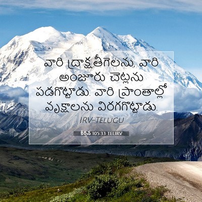 Picture 07 - కీర్తన 105:33 TELIRV - వారి - Bible Verse Picture