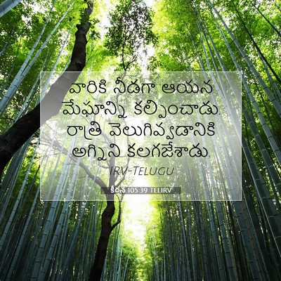 Picture 07 - కీర్తన 105:39 TELIRV - వారికి నీడగా ఆయన - Bible Verse Picture