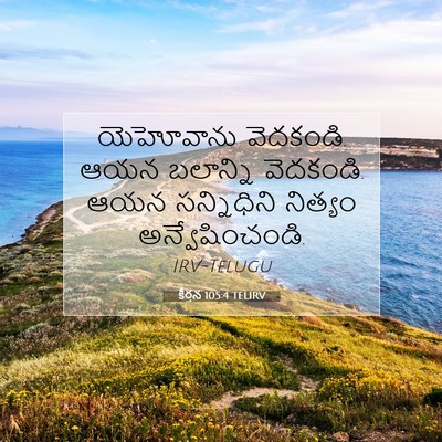 Picture 07 - కీర్తన 105:4 TELIRV - యెహోవాను వెదకండి. - Bible Verse Picture