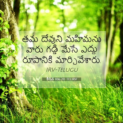 Picture 07 - కీర్తన 106:20 TELIRV - తమ దేవుని మహిమను - Bible Verse Picture
