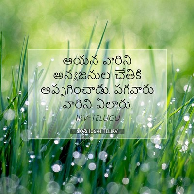 Picture 07 - కీర్తన 106:41 TELIRV - ఆయన వారిని - Bible Verse Picture