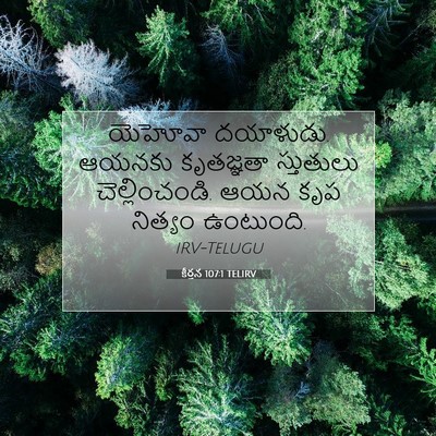 Picture 07 - కీర్తన 107:1 TELIRV - యెహోవా దయాళుడు. - Bible Verse Picture