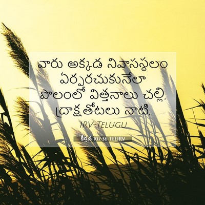 Picture 07 - కీర్తన 107:36 TELIRV - వారు అక్కడ - Bible Verse Picture