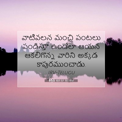 Picture 07 - కీర్తన 107:37 TELIRV - వాటివలన మంచి - Bible Verse Picture