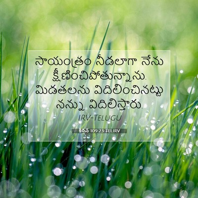 Picture 07 - కీర్తన 109:23 TELIRV - సాయంత్రం నీడలాగా - Bible Verse Picture