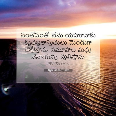 Picture 07 - కీర్తన 109:30 TELIRV - సంతోషంతో నేను - Bible Verse Picture