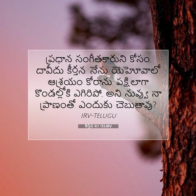 Picture 07 - కీర్తన 11:1 TELIRV - ప్రధాన - Bible Verse Picture
