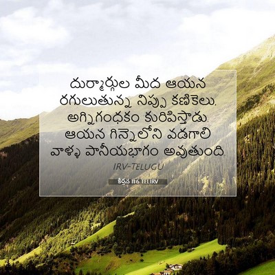 Picture 07 - కీర్తన 11:6 TELIRV - దుర్మార్గుల మీద - Bible Verse Picture