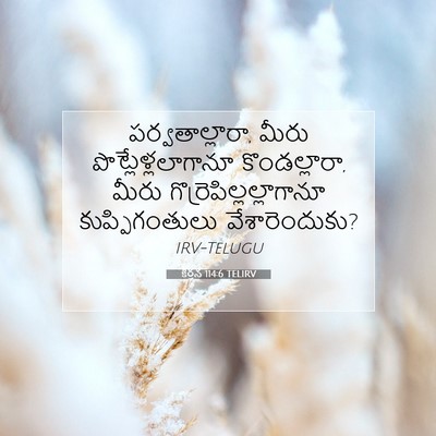 Picture 07 - కీర్తన 114:6 TELIRV - పర్వతాల్లారా, - Bible Verse Picture