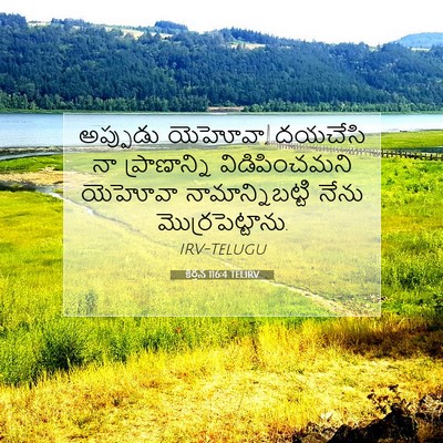 Picture 07 - కీర్తన 116:4 TELIRV - అప్పుడు యెహోవా, - Bible Verse Picture