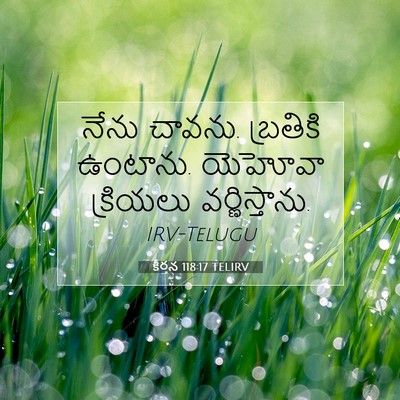 Picture 07 - కీర్తన 118:17 TELIRV - నేను చావను. - Bible Verse Picture