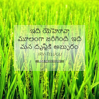 Picture 07 - కీర్తన 118:23 TELIRV - ఇది యెహోవా మూలంగా - Bible Verse Picture