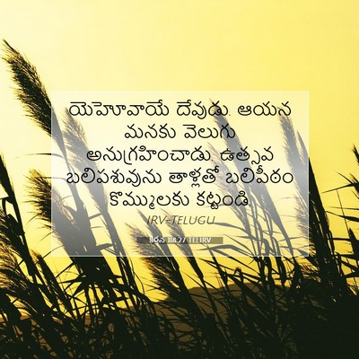 Picture 07 - కీర్తన 118:27 TELIRV - యెహోవాయే దేవుడు. - Bible Verse Picture