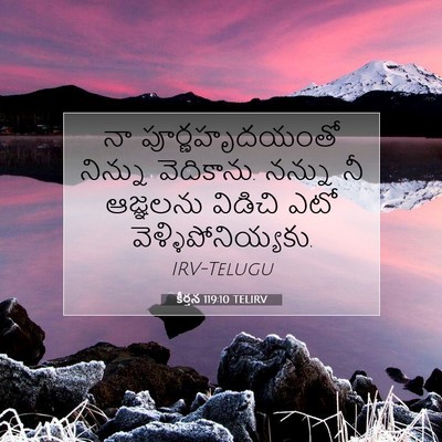 Picture 07 - కీర్తన 119:10 TELIRV - నా పూర్ణహృదయంతో - Bible Verse Picture