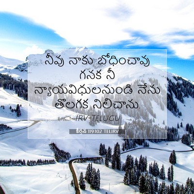 Picture 07 - కీర్తన 119:102 TELIRV - నీవు నాకు - Bible Verse Picture