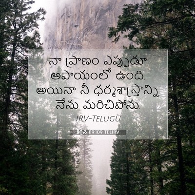 Picture 07 - కీర్తన 119:109 TELIRV - నా ప్రాణం ఎప్పుడూ - Bible Verse Picture