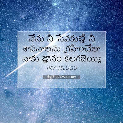 Picture 07 - కీర్తన 119:125 TELIRV - నేను నీ సేవకుణ్ణి. - Bible Verse Picture