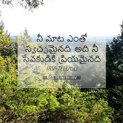 Picture 07 - కీర్తన 119:140 TELIRV - నీ మాట ఎంతో - Bible Verse Picture