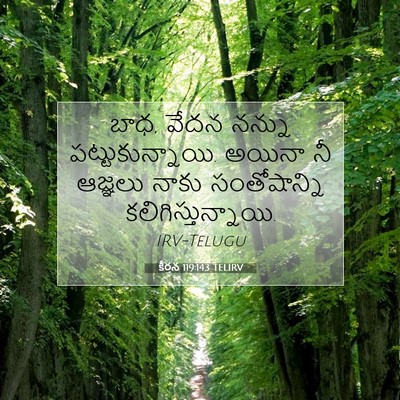 Picture 07 - కీర్తన 119:143 TELIRV - బాధ, వేదన నన్ను - Bible Verse Picture