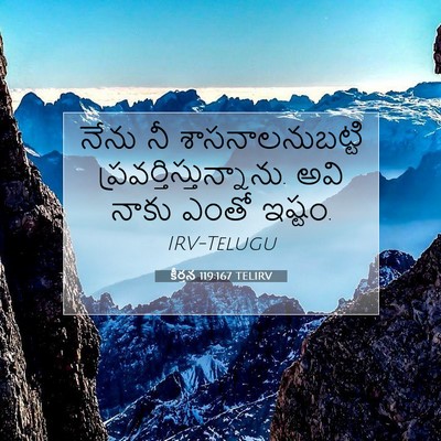 Picture 07 - కీర్తన 119:167 TELIRV - నేను నీ - Bible Verse Picture