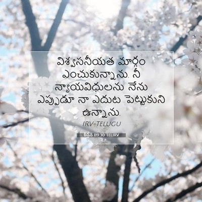 Picture 07 - కీర్తన 119:30 TELIRV - విశ్వసనీయత మార్గం - Bible Verse Picture