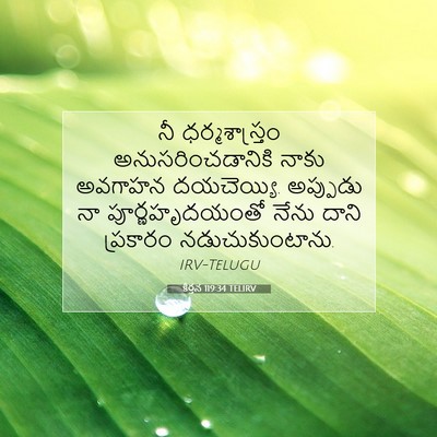 Picture 07 - కీర్తన 119:34 TELIRV - నీ ధర్మశాస్త్రం - Bible Verse Picture