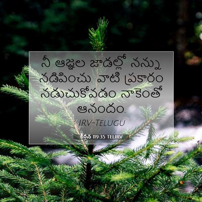 Picture 07 - కీర్తన 119:35 TELIRV - నీ ఆజ్ఞల జాడల్లో - Bible Verse Picture