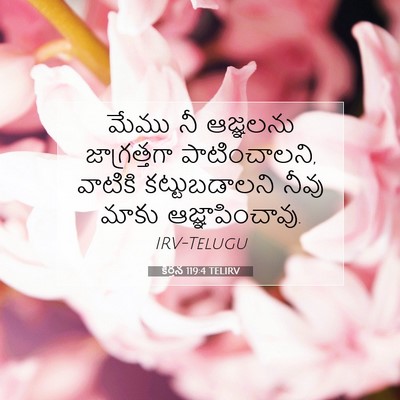 Picture 07 - కీర్తన 119:4 TELIRV - మేము నీ ఆజ్ఞలను - Bible Verse Picture