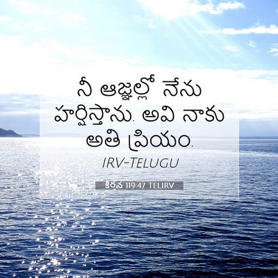 Picture 07 - కీర్తన 119:47 TELIRV - నీ ఆజ్ఞల్లో నేను - Bible Verse Picture